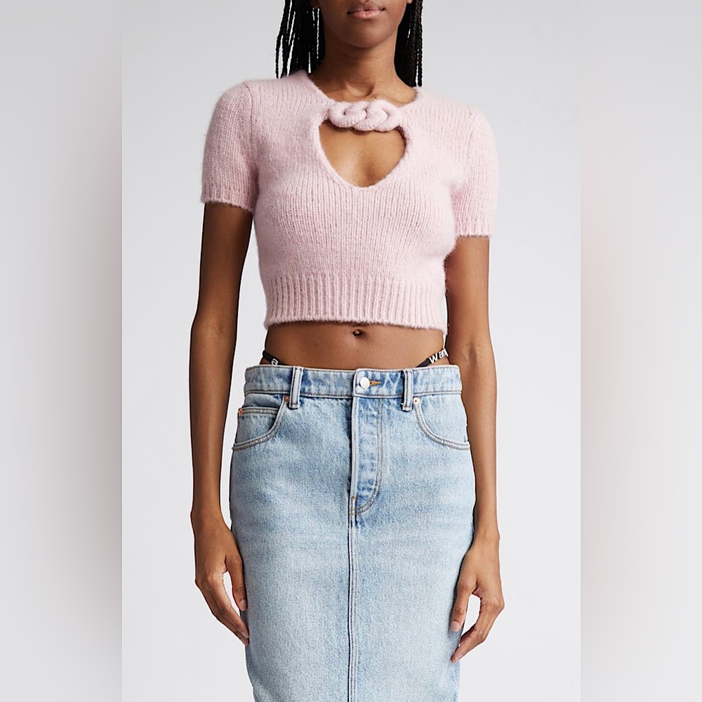 Alexander Wang luxury designer shirt. Current season.